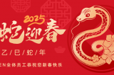 辭舊迎新，蛇舞華章丨深圳容金科技全體員工祝您新春快樂！