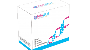 馬、驢源性恒溫核酸檢測(cè)試劑盒