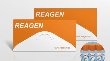 ADV antigen