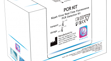 Nipah Virus Real-Time Fluorescence  PCR Detection Kit